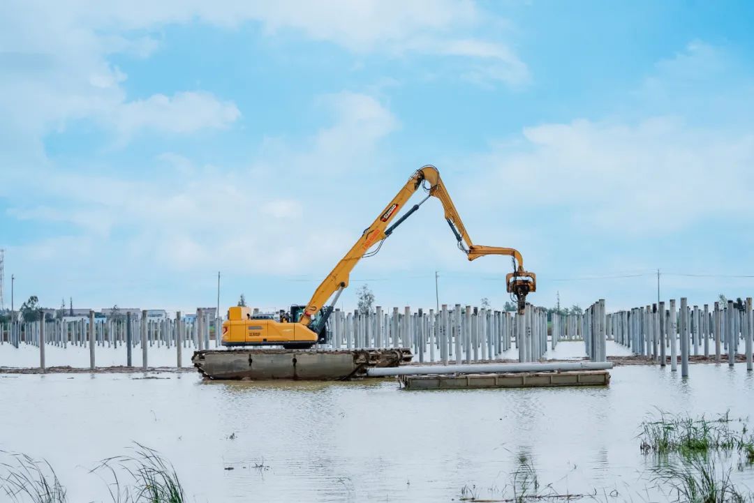 mg不朽情缘(中国)官方网站