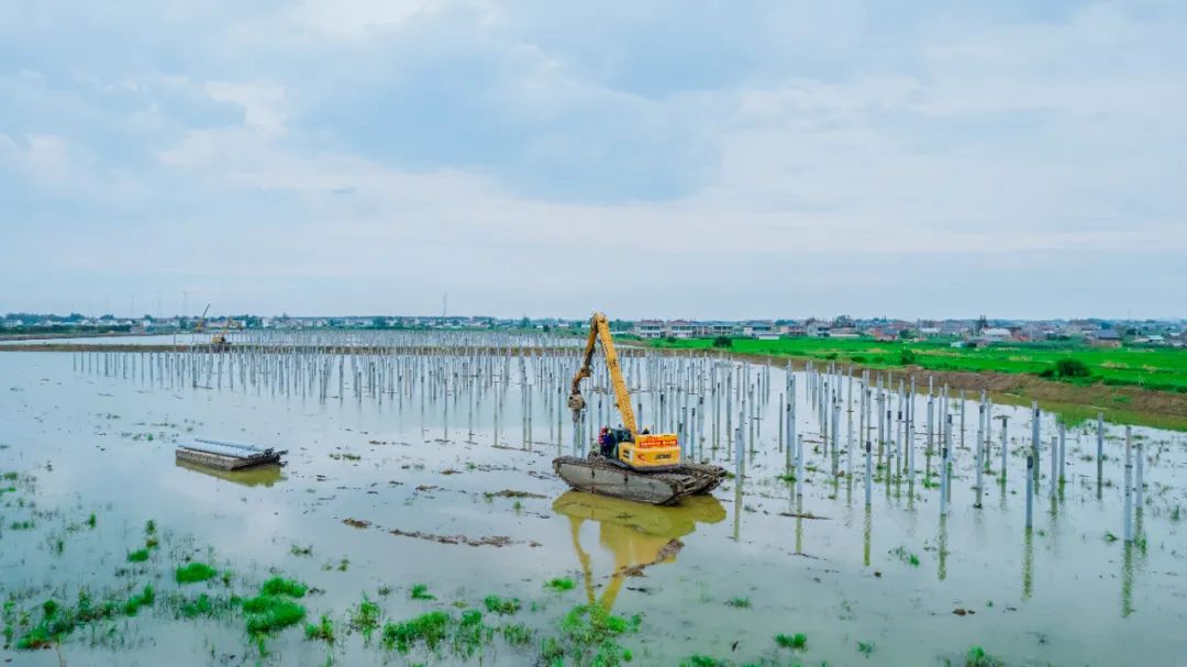 mg不朽情缘(中国)官方网站