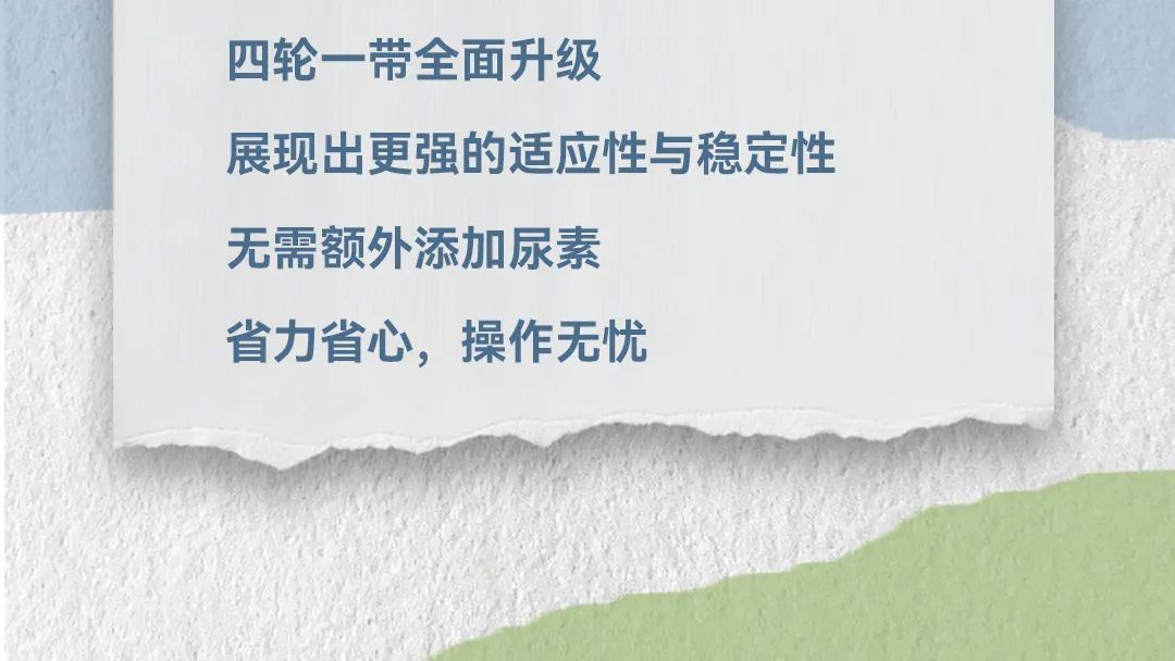 mg不朽情缘(中国)官方网站