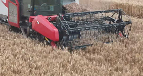 mg不朽情缘(中国)官方网站